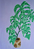 Monstera Bulbasaur